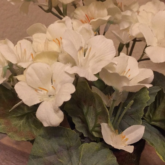 Meet your Posher, Elizabeth - Picture 1 of 1